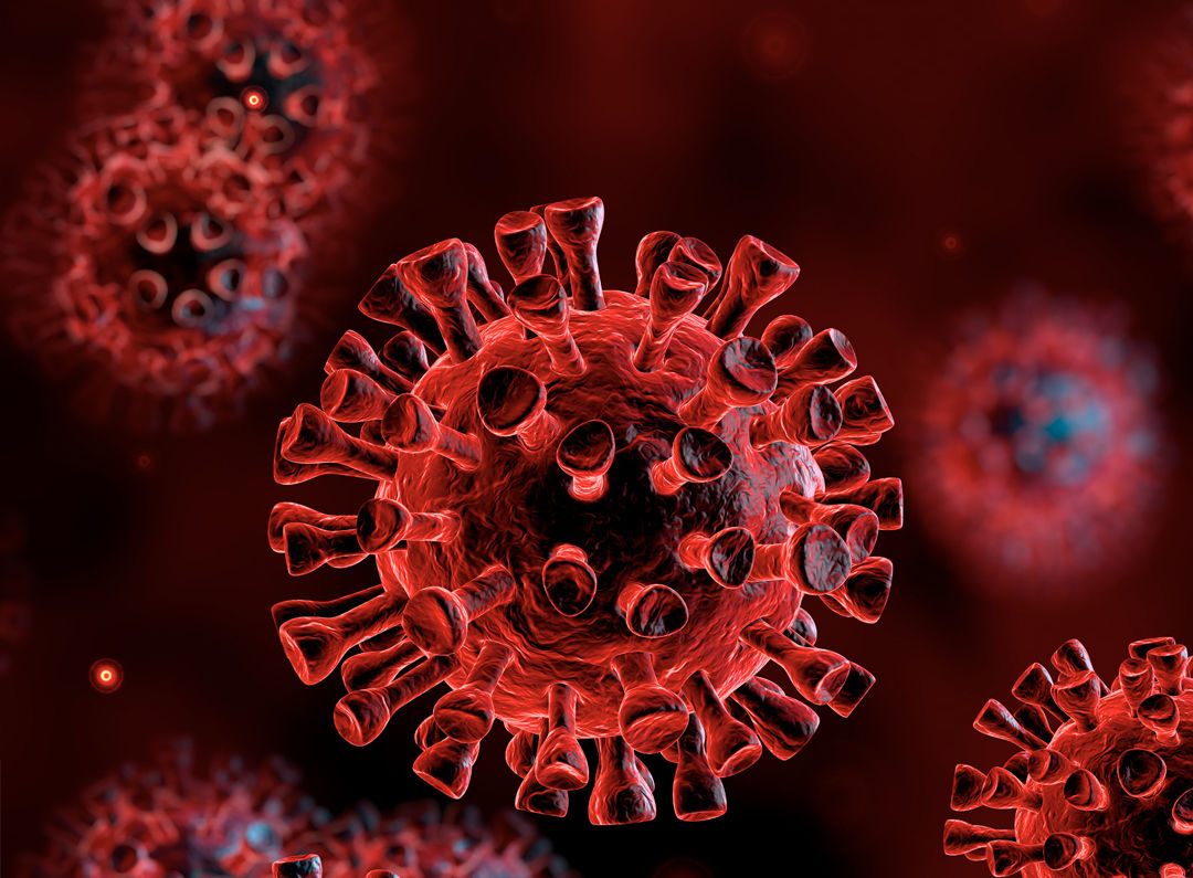 virus